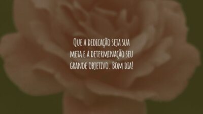 Que a dedicação seja sua meta e a determinação seu grande objetivo. Bom dia!