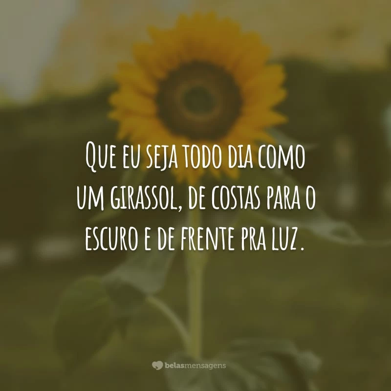 Que eu seja todo dia como um girassol, de costas para o escuro e de frente pra luz.