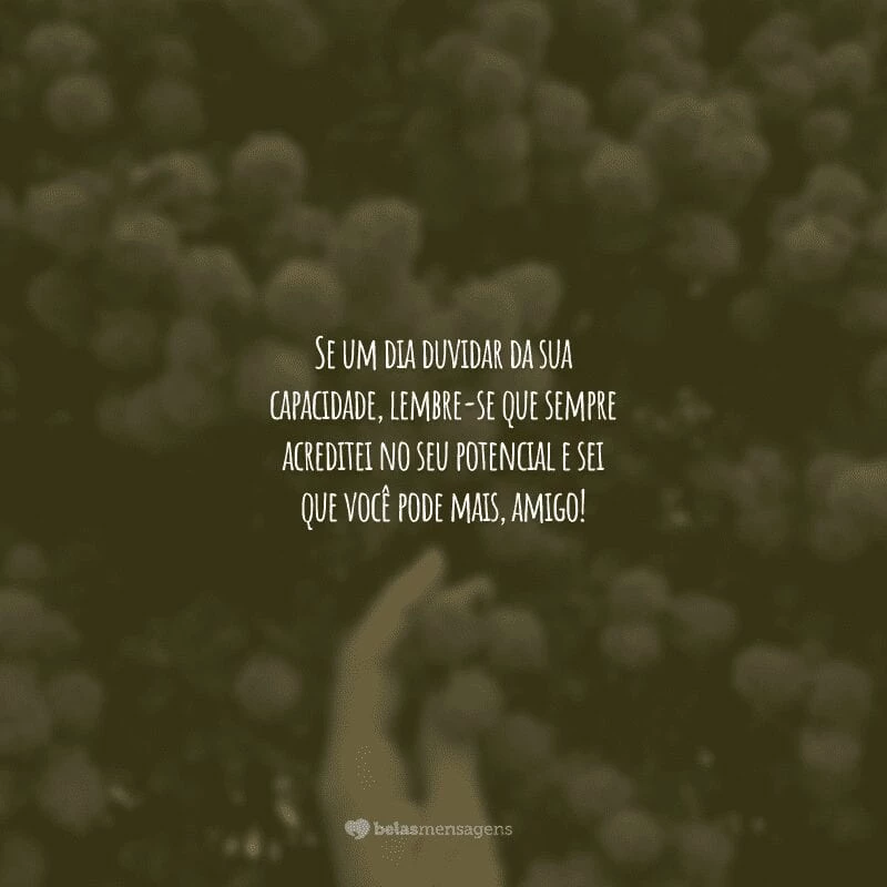 Se um dia duvidar da sua capacidade, lembre-se que sempre acreditei no seu potencial e sei que você pode mais, amigo!