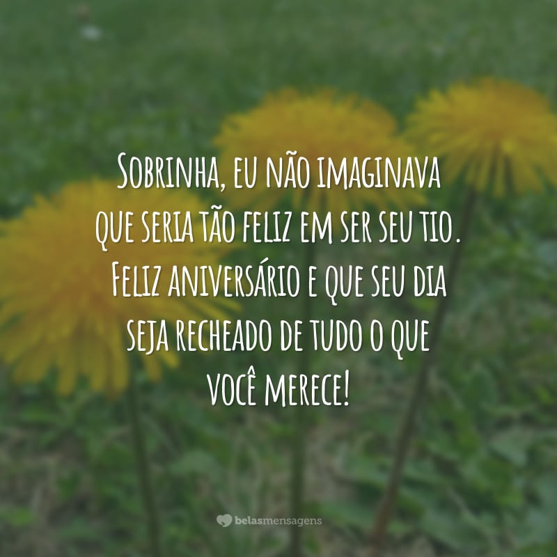 Sobrinha, eu não imaginava que seria tão feliz em ser seu tio. Feliz aniversário e que seu dia seja recheado de tudo o que você merece!