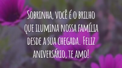 Sobrinha, você é o brilho que ilumina nossa família desde a sua chegada. Feliz aniversário, te amo!