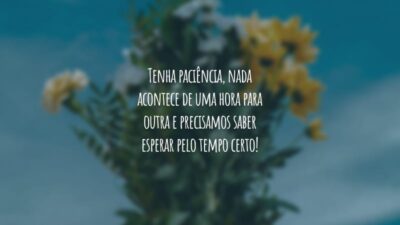 Tenha paciência, nada acontece de uma hora para outra e precisamos saber esperar pelo tempo certo!