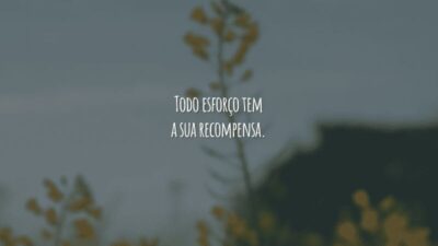 Todo esforço tem a sua recompensa.