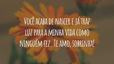 Você acaba de nascer e já traz luz para a minha vida como ninguém fez. Te amo, sobrinha!