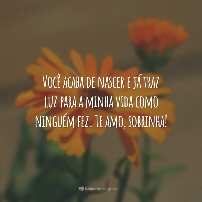 Você acaba de nascer e já traz luz para a minha vida como ninguém fez. Te amo, sobrinha!