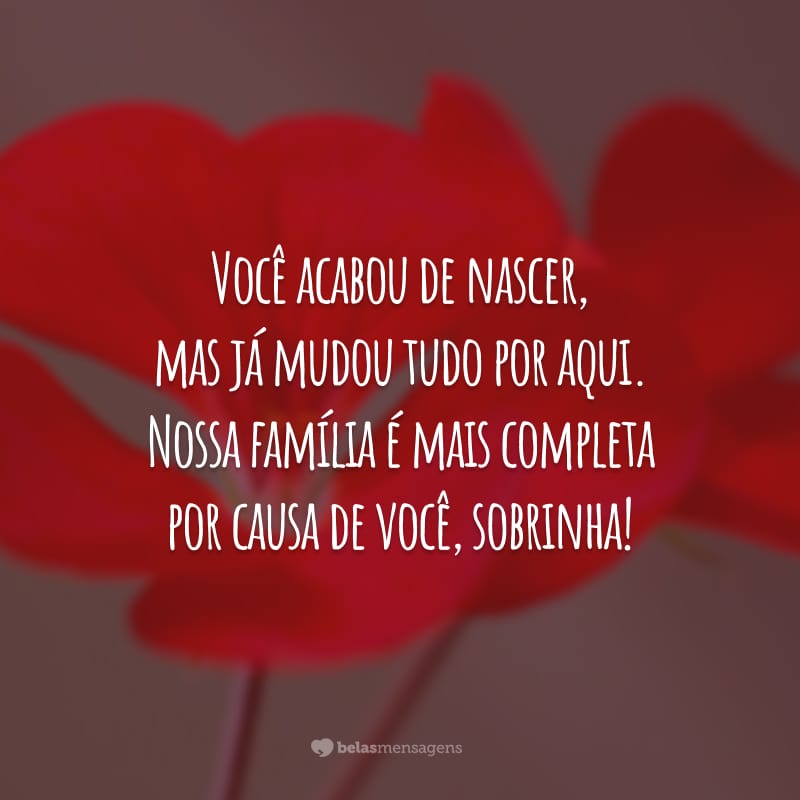 Você acabou de nascer, mas já mudou tudo por aqui. Nossa família é mais completa por causa de você, sobrinha!