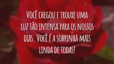 Você chegou e trouxe uma luz tão intensa para os nossos dias. Você é a sobrinha mais linda de todas!