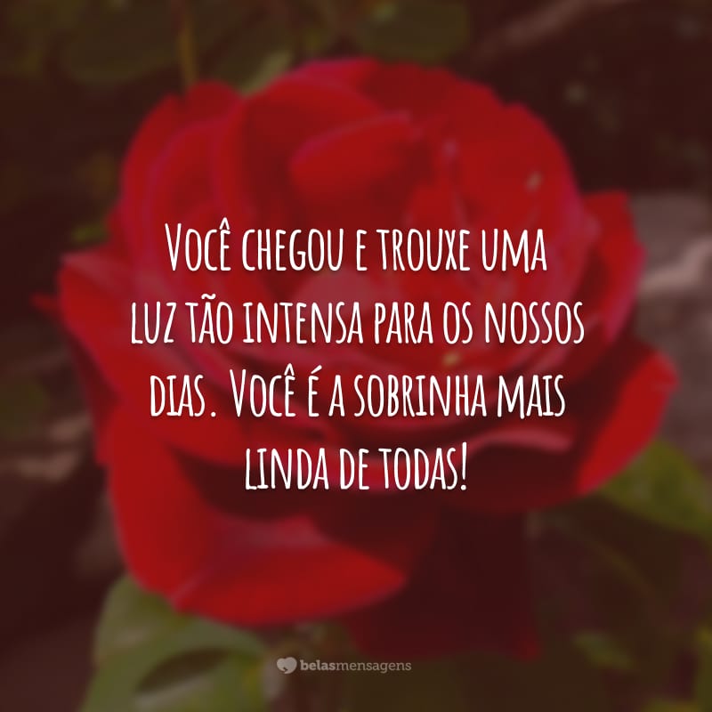 Você chegou e trouxe uma luz tão intensa para os nossos dias. Você é a sobrinha mais linda de todas!