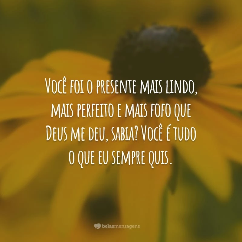 Você foi o presente mais lindo, mais perfeito e mais fofo que Deus me deu, sabia? Você é tudo o que eu sempre quis.