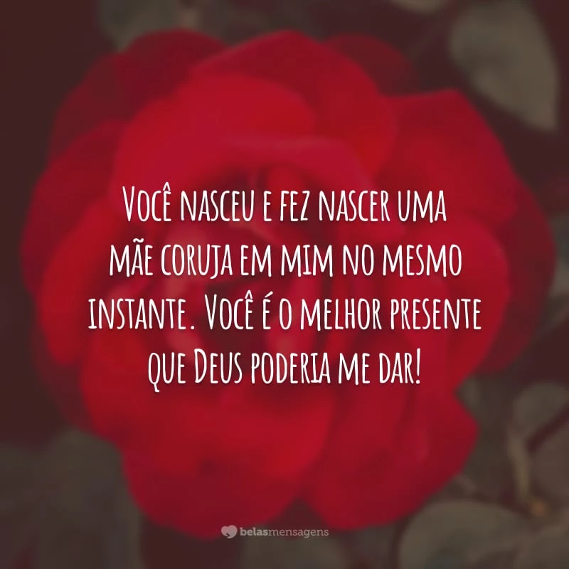 Você nasceu e fez nascer uma mãe coruja em mim no mesmo instante. Você é o melhor presente que Deus poderia me dar!