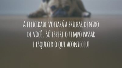 A felicidade voltará a brilhar dentro de você. Só espere o tempo passar e esquecer o que aconteceu!