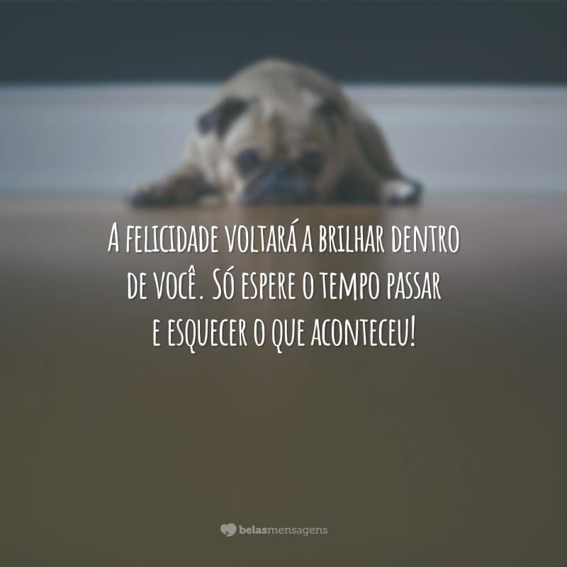 A felicidade voltará a brilhar dentro de você. Só espere o tempo passar e esquecer o que aconteceu!