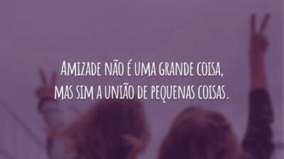 Amizade não é uma grande coisa, mas sim a união de pequenas coisas.