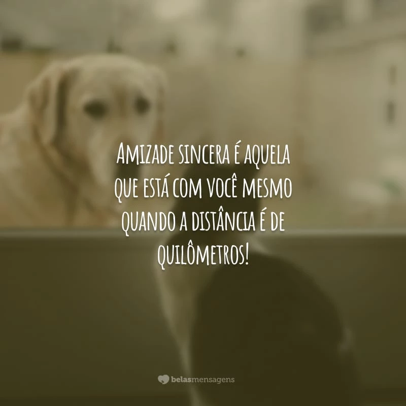 Amizade sincera é aquela que está com você mesmo quando a distância é de quilômetros!