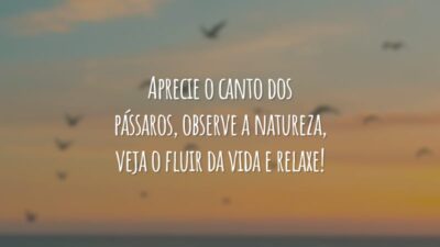 Aprecie o canto dos pássaros, observe a natureza, veja o fluir da vida e relaxe!