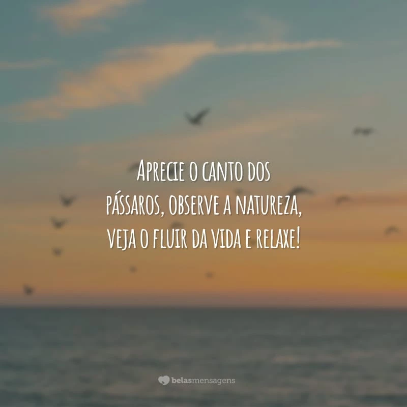 Aprecie o canto dos pássaros, observe a natureza, veja o fluir da vida e relaxe!