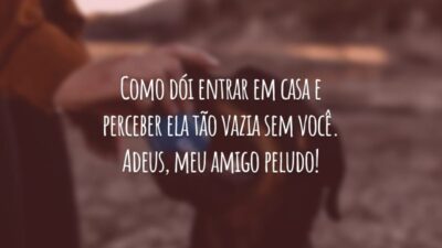 Como dói entrar em casa e perceber ela tão vazia sem você. Adeus, meu amigo peludo!