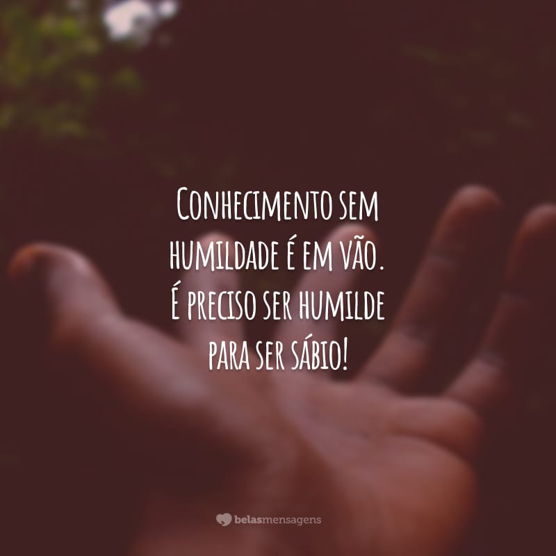 Conhecimento sem humildade é em vão. É preciso ser humilde para ser sábio!