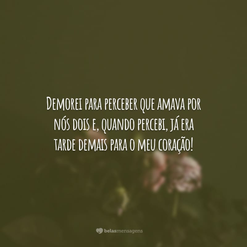 Demorei para perceber que amava por nós dois e, quando percebi, já era tarde demais para o meu coração!