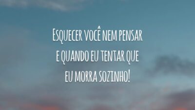 Esquecer você nem pensar e quando eu tentar que eu morra sozinho!
