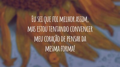 Eu sei que foi melhor assim, mas estou tentando convencer meu coração de pensar da mesma forma!