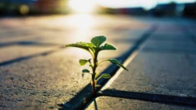 45 frases sobre obstáculos da vida que te motivam a continuar lutando