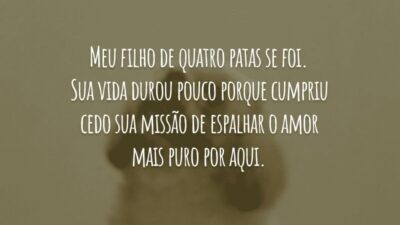 Meu filho de quatro patas se foi. Sua vida durou pouco porque cumpriu cedo sua missão de espalhar o amor mais puro por aqui.