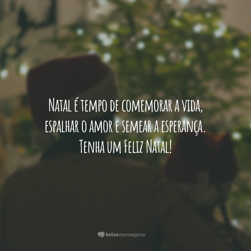 Natal é tempo de comemorar a vida, espalhar o amor e semear a esperança. Tenha um Feliz Natal!