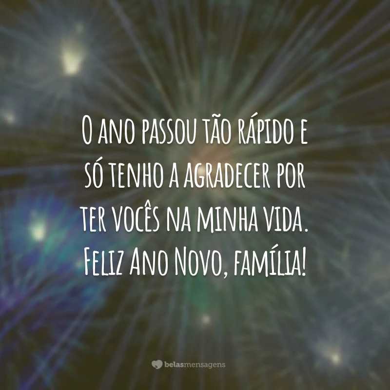 O ano passou tão rápido e só tenho a agradecer por ter vocês na minha vida. Feliz Ano Novo, família!