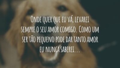 Onde quer que eu vá, levarei sempre o seu amor comigo. Como um ser tão pequeno pode dar tanto amor eu nunca saberei...