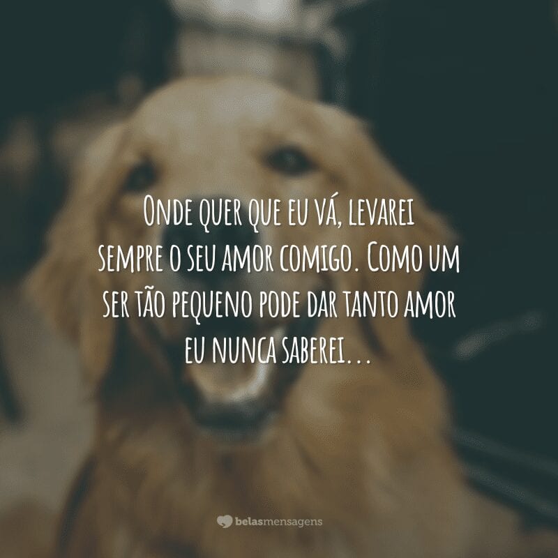 Onde quer que eu vá, levarei sempre o seu amor comigo. Como um ser tão pequeno pode dar tanto amor eu nunca saberei...