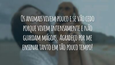 Os animais vivem pouco e se vão cedo porque vivem intensamente e não guardam mágoas. Agradeço por me ensinar tanto em tão pouco tempo!
