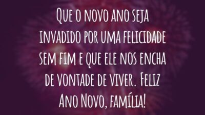 Que o novo ano seja invadido por uma felicidade sem fim e que ele nos encha de vontade de viver. Feliz Ano Novo, família!