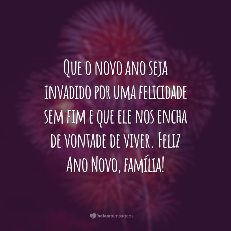 Que o novo ano seja invadido por uma felicidade sem fim e que ele nos encha de vontade de viver. Feliz Ano Novo, família!