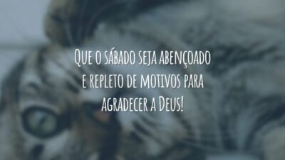 Que o sábado seja abençoado e repleto de motivos para agradecer a Deus!