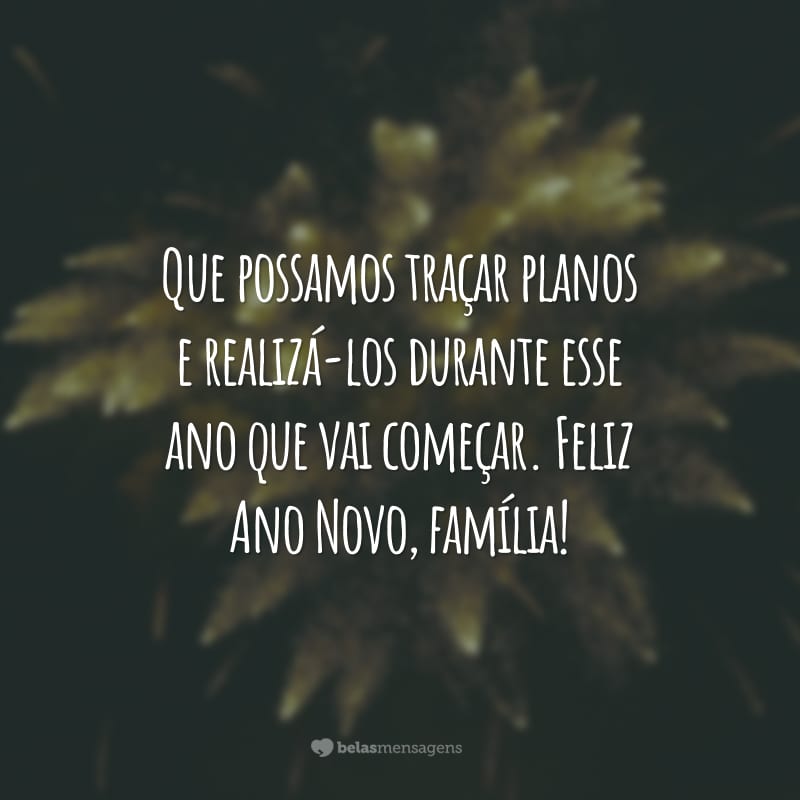 Que possamos traçar planos e realizá-los durante esse ano que vai começar. Feliz Ano Novo, família!