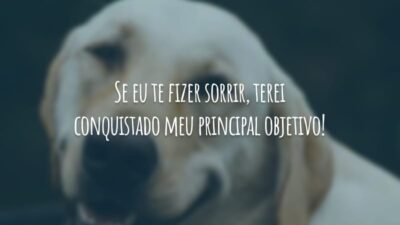 Se eu te fizer sorrir, terei conquistado meu principal objetivo!