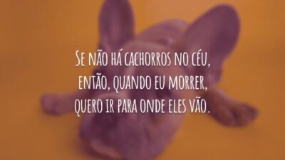 Se não há cachorros no céu, então, quando eu morrer, quero ir para onde eles vão.