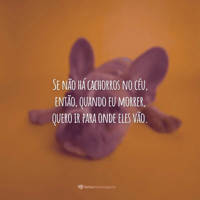 Se não há cachorros no céu, então, quando eu morrer, quero ir para onde eles vão.