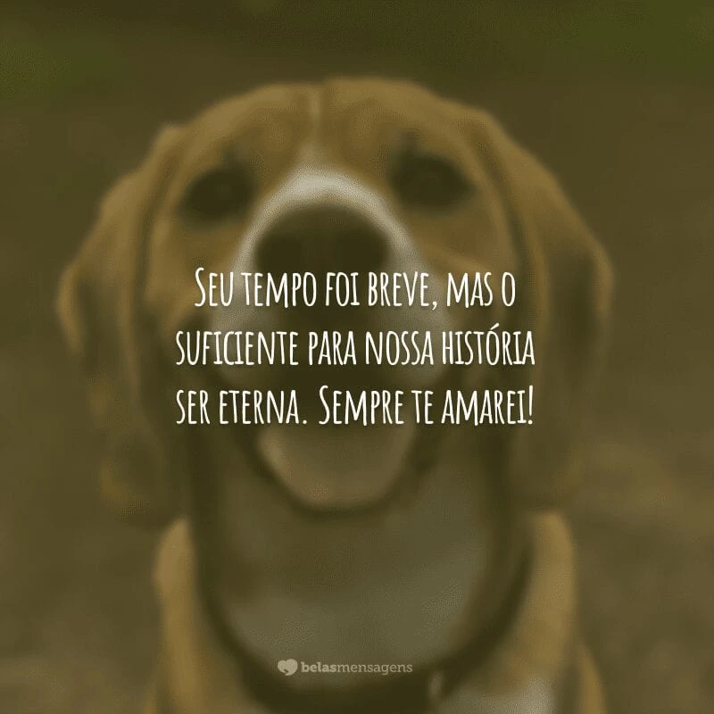 Seu tempo foi breve, mas o suficiente para nossa história ser eterna. Sempre te amarei!