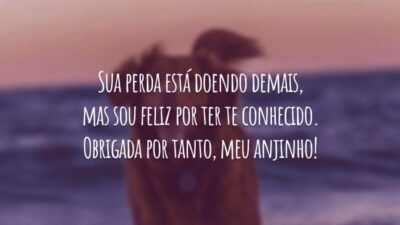 Sua perda está doendo demais, mas sou feliz por ter te conhecido. Obrigada por tanto, meu anjinho!