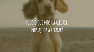 Tudo o que nos dá alegria, nos ajuda a relaxar!