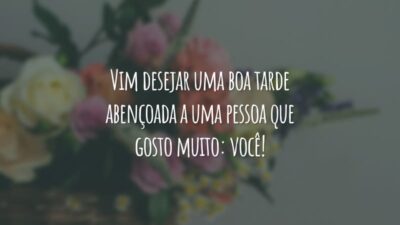 Vim desejar uma boa tarde abençoada a uma pessoa que gosto muito: você!