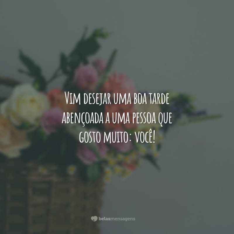 Vim desejar uma boa tarde abençoada a uma pessoa que gosto muito: você!