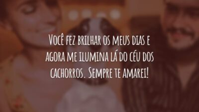Você fez brilhar os meus dias e agora me ilumina lá do céu dos cachorros. Sempre te amarei!