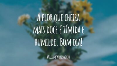 A flor que cheira mais doce é tímida e humilde. Bom dia!