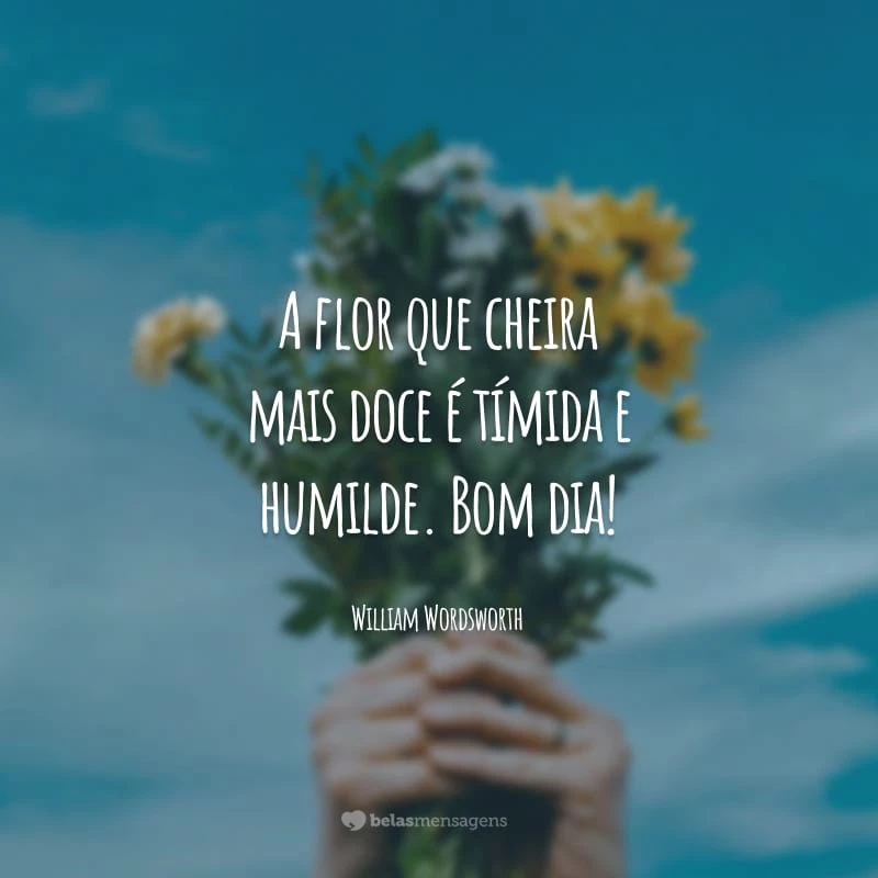 A flor que cheira mais doce é tímida e humilde. Bom dia!