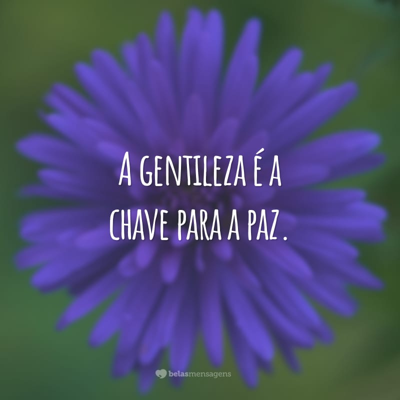 A gentileza é a chave para a paz.