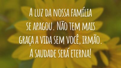A luz da nossa família se apagou. Não tem mais graça a vida sem você, irmão. A saudade será eterna!