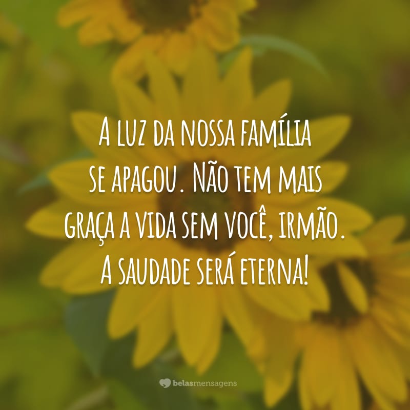 A luz da nossa família se apagou. Não tem mais graça a vida sem você, irmão. A saudade será eterna!